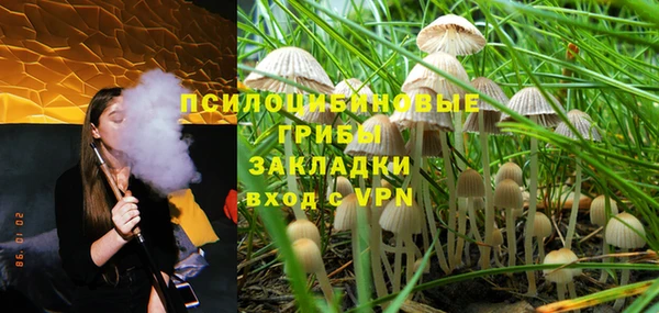 дурь Михайловка