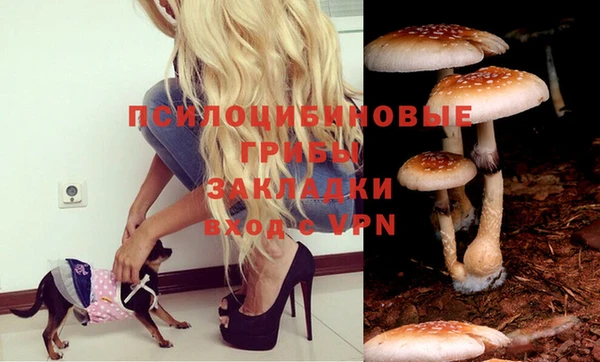 PSILOCYBIN Мегион