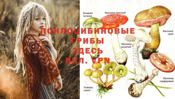 дурь Михайловка